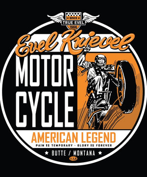 Evel Knievel® 4 Design Sticker sheet